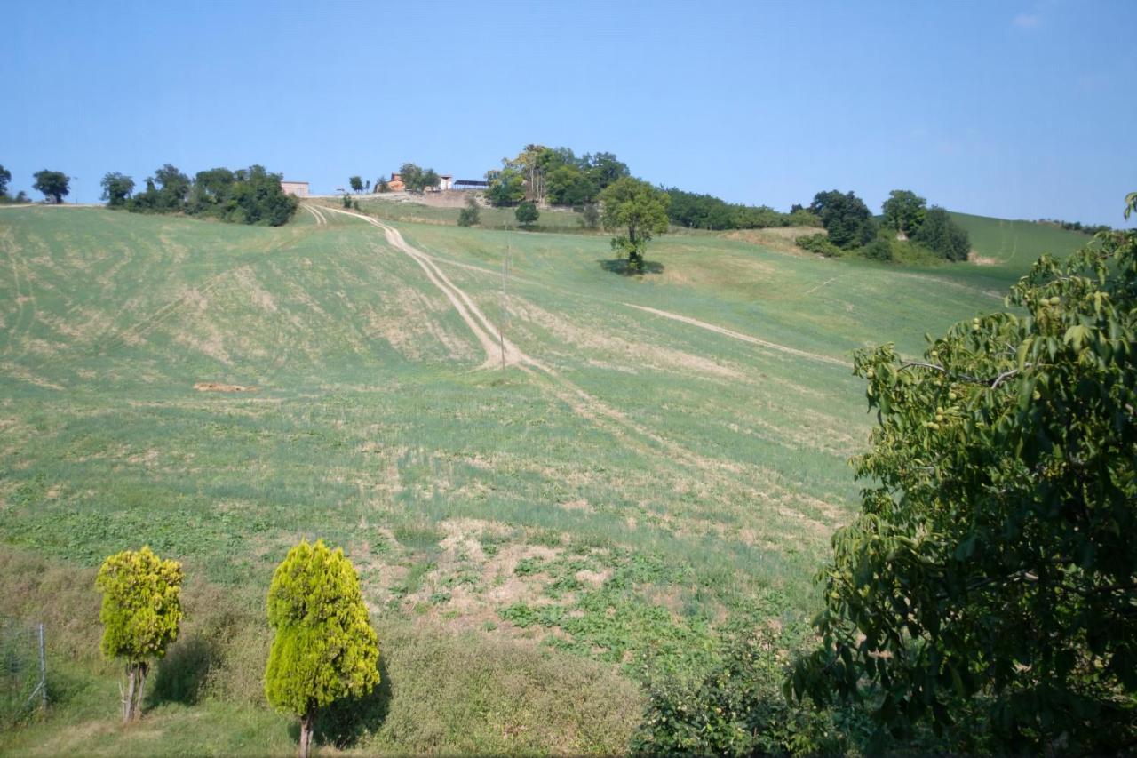 Al Sasseto B&B Montagnana  Eksteriør bilde