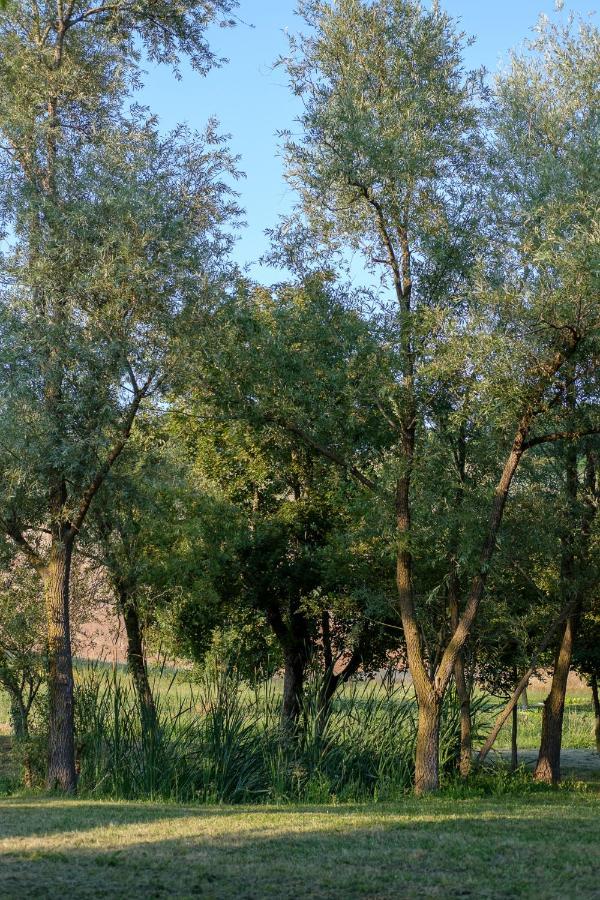 Al Sasseto B&B Montagnana  Eksteriør bilde