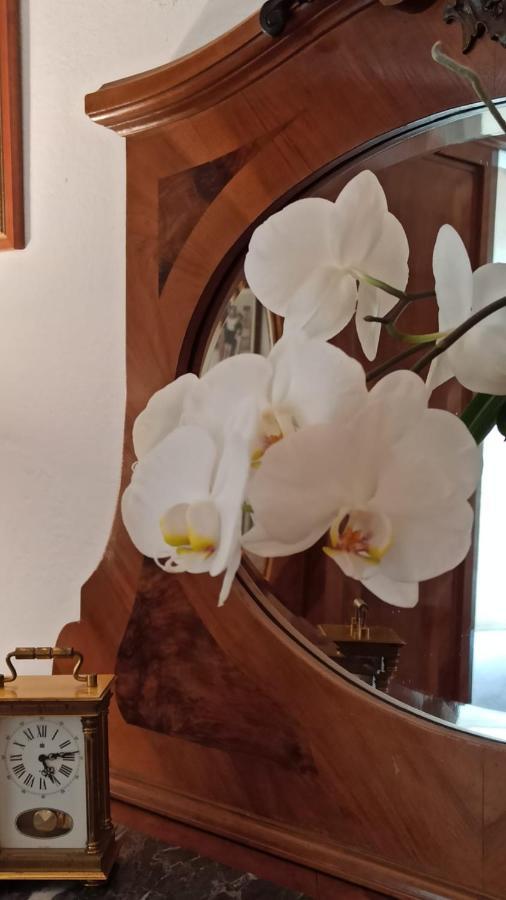 Al Sasseto B&B Montagnana  Eksteriør bilde
